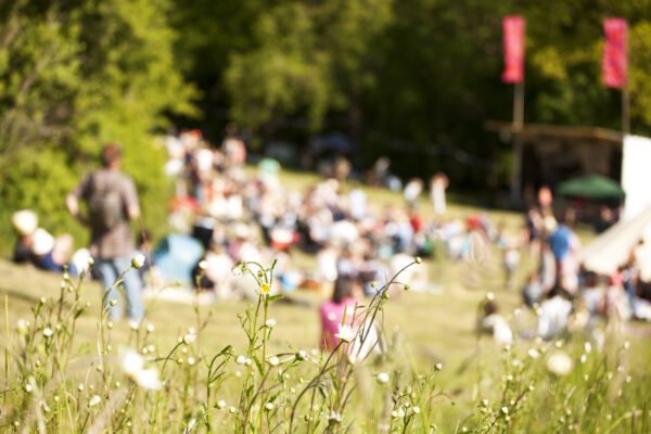 Audience at a live music event