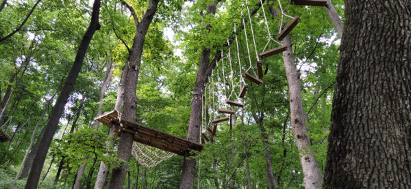 Go Ape Adventure. Located in national parks and local recreational facilities, Wooden and rope structures for movement